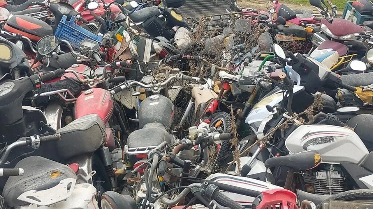 Çürümeye terk edilen milyonluk servet böyle görüntülendi - Resim: 2