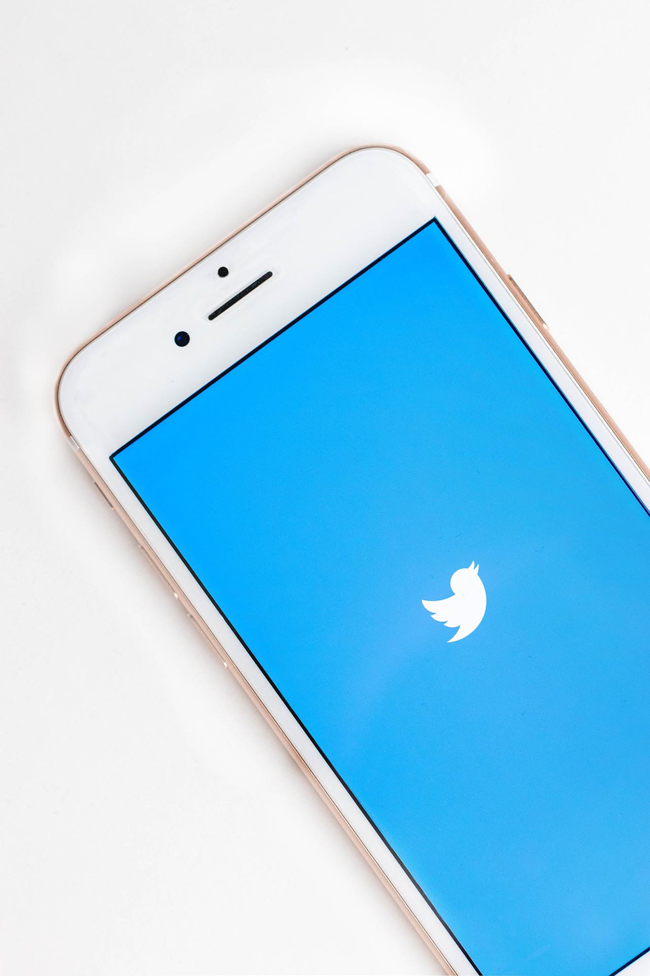 Twitter'dan 250 bin hesabın kapatılmasını istediler