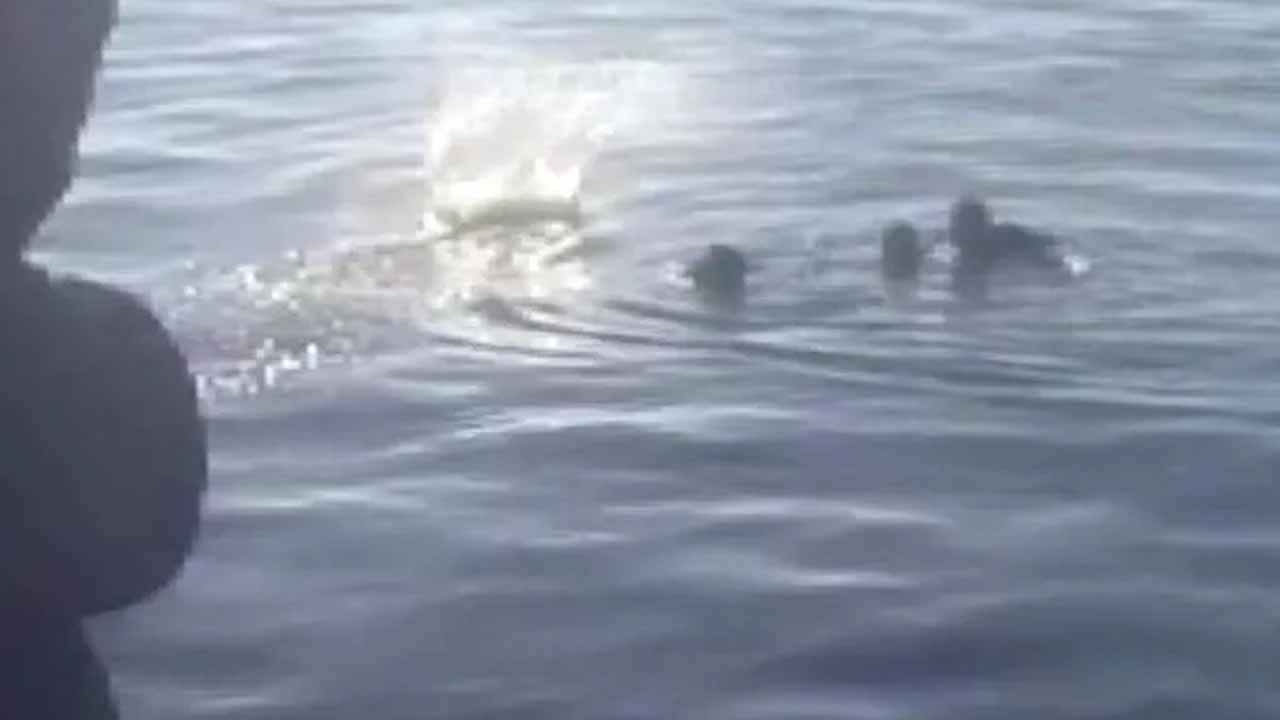 İstanbul'da denizde can pazarı: Çığlık sesleri yükseldi
