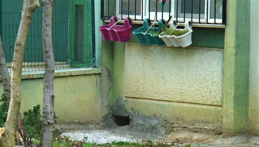 Kocaeli'de korkunç iddia: Kedileri canlı canlı gömdüler - Resim: 2