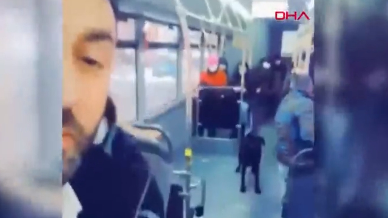 İstanbul'un gezgini Zeytin İETT otobüsünde keyif yaparken görüntülendi