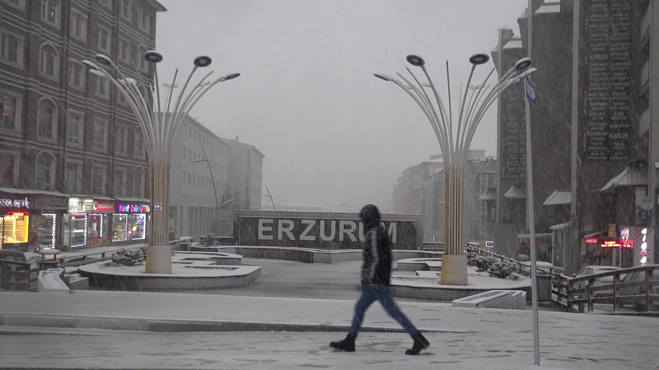 Erzurum'da yoğun kar yağışı hayatı felç etti