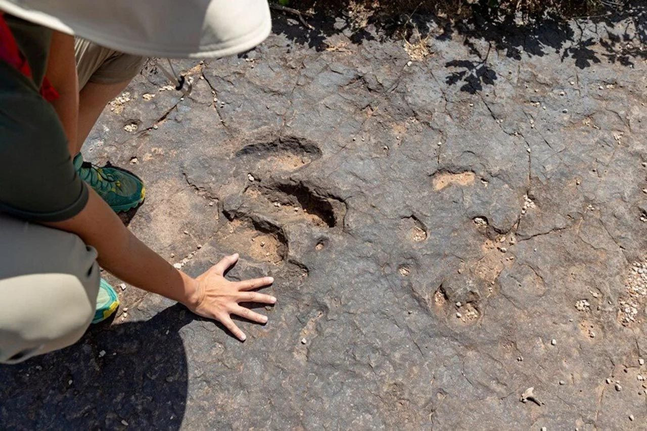 Çin'de hayvanların ataları bulundu! 500 milyon yıllık keşif - Resim: 2