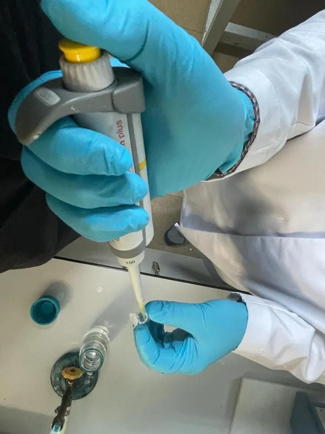 Türk bilim insanları koronavirüse karşı DNA aşısı üretti - Resim: 4