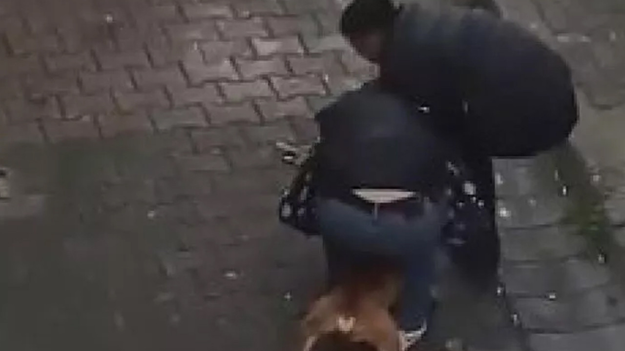 Pitbull saldırısına uğrayan genç suç makinesi çıktı