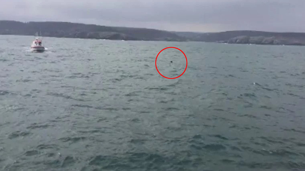 İstanbul Boğazı'nda görülen cisim mayın çıktı! Bakan Akar'dan flaş açıklama