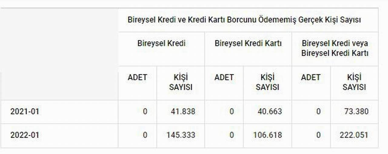 Türkiye Bankalar Birliği kredi ve kredi kartı borçluları istatistikleri