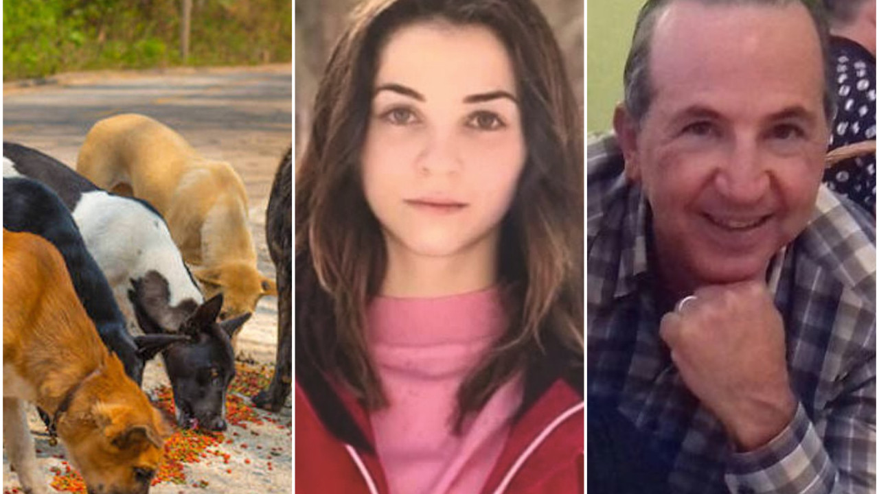 Ormanlık alanda dehşet! Köpekler genç kızı parçaladı