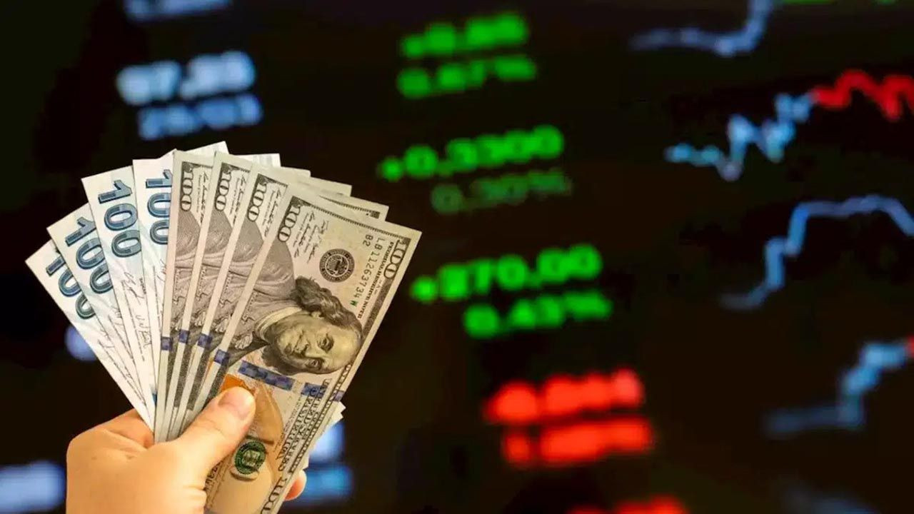 Ünlü piyasa uzmanı, ekonomist Selçuk Geçer'de dolar kuru için korkutan tahmin - Resim: 4