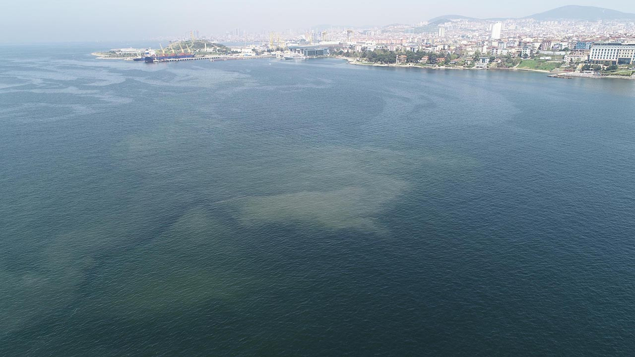 Sinsi sinsi çoğalıyor! Marmara Denizi'nde korkutan manzara