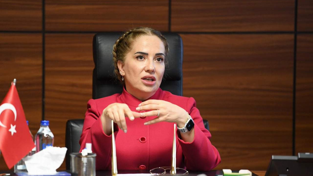 Meğer Bakan Soylu gece yarısı arayıp istifasını istemiş, reddedilmiş!