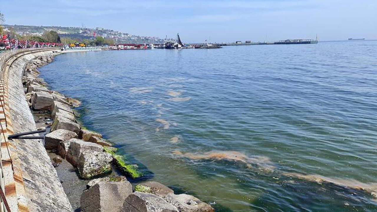Marmara'ya geri dönen müsilaj kabusu için bir korkutan uyarı daha - Resim: 4