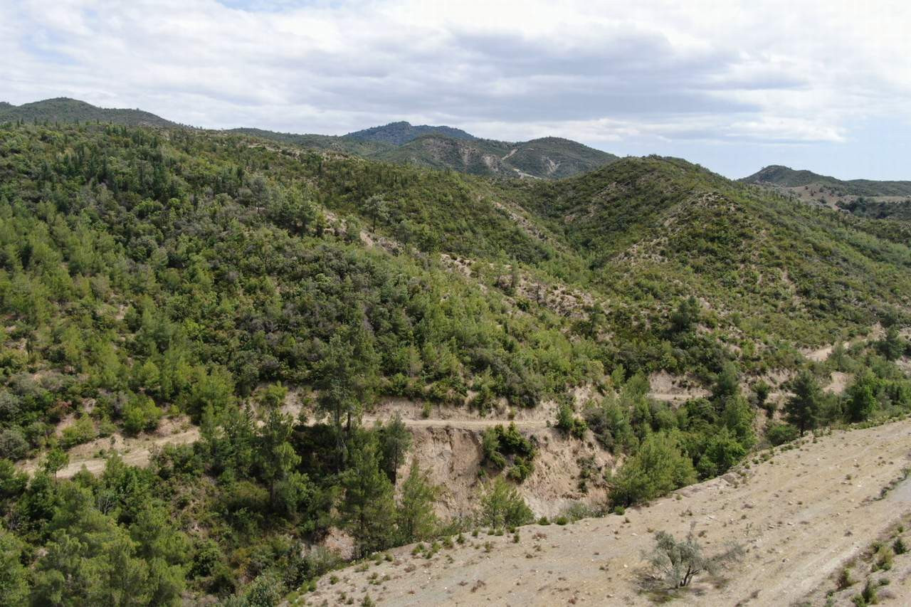 antalya orman yangını sonrası 