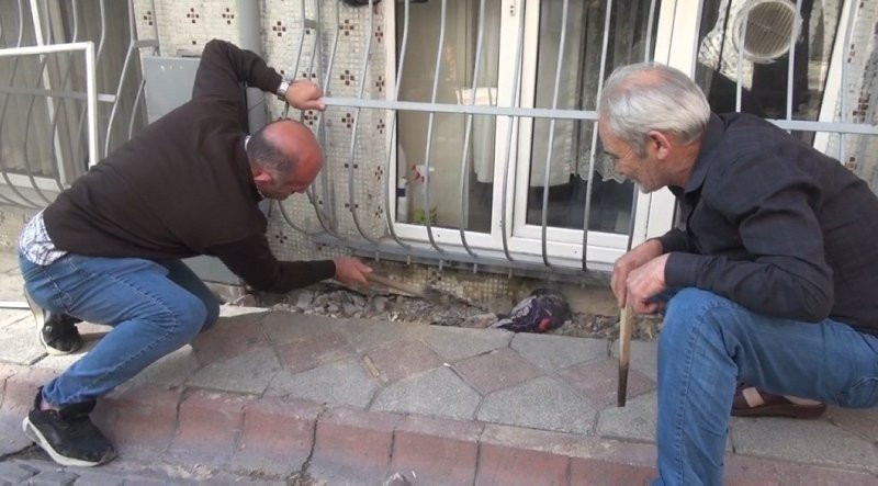 İstanbul'da yılan paniği! Mahalleli neye uğradığını şaşırdı
