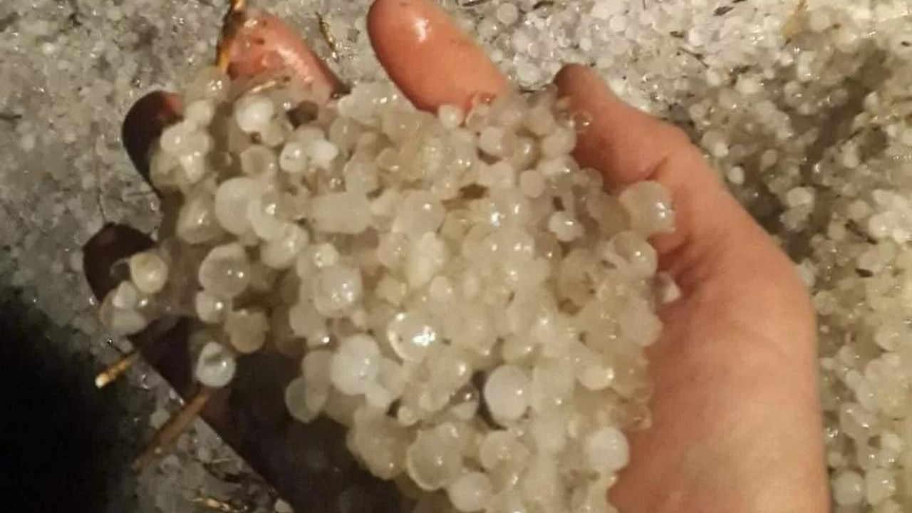 İstanbul'un burnunun dibini dolu vurdu! Tarlalar savaş alanına döndü