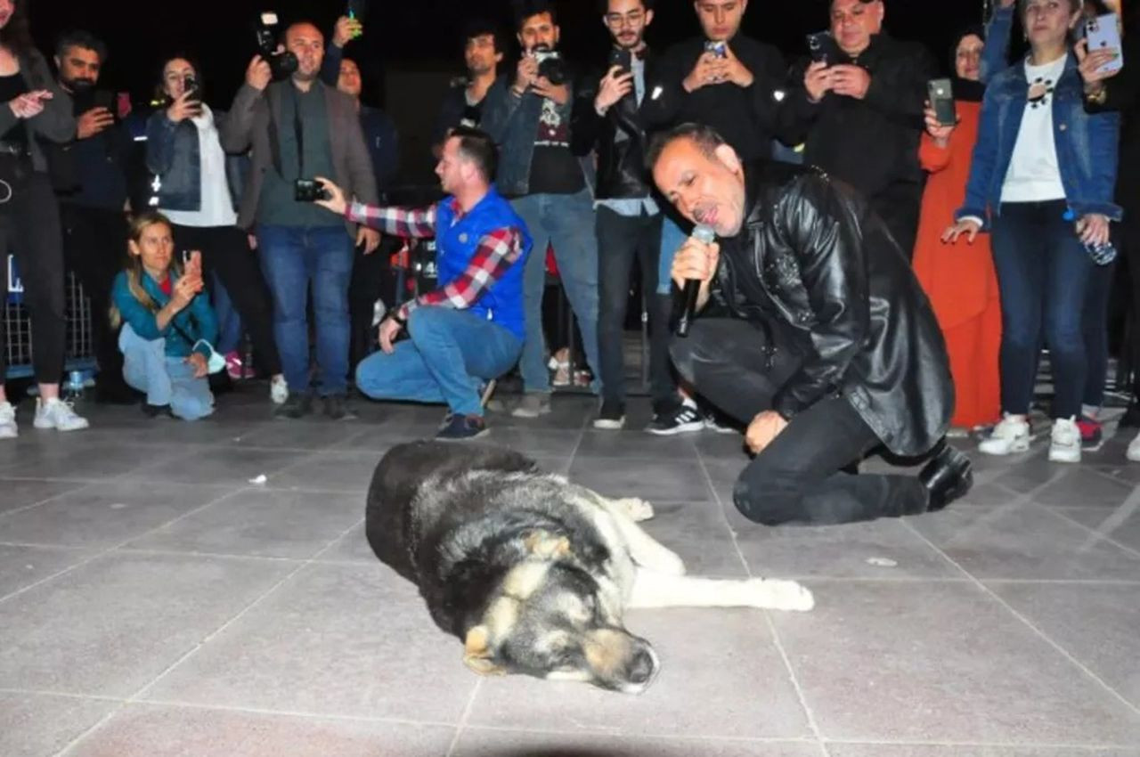 Haluk Levent yere yatıp sokak köpeğine sarıldı, konser alanı yıkıldı - Resim: 1