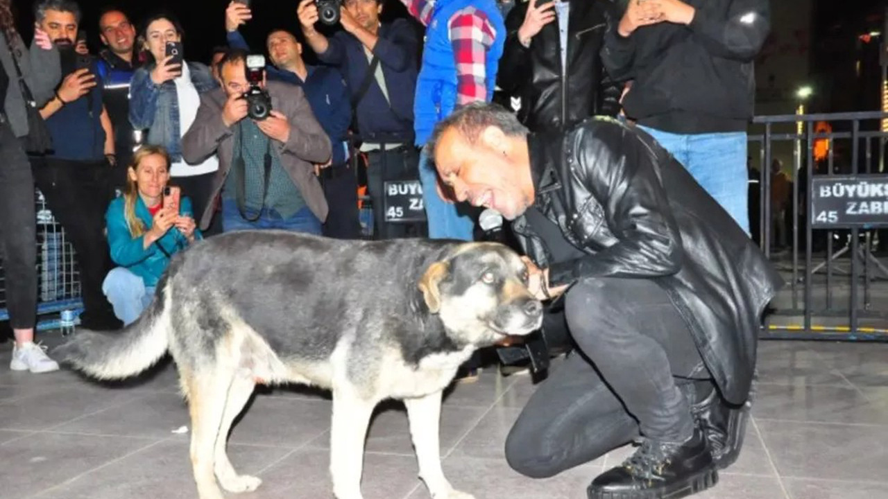Haluk Levent yere yatıp sokak köpeğine sarıldı, konser alanı yıkıldı