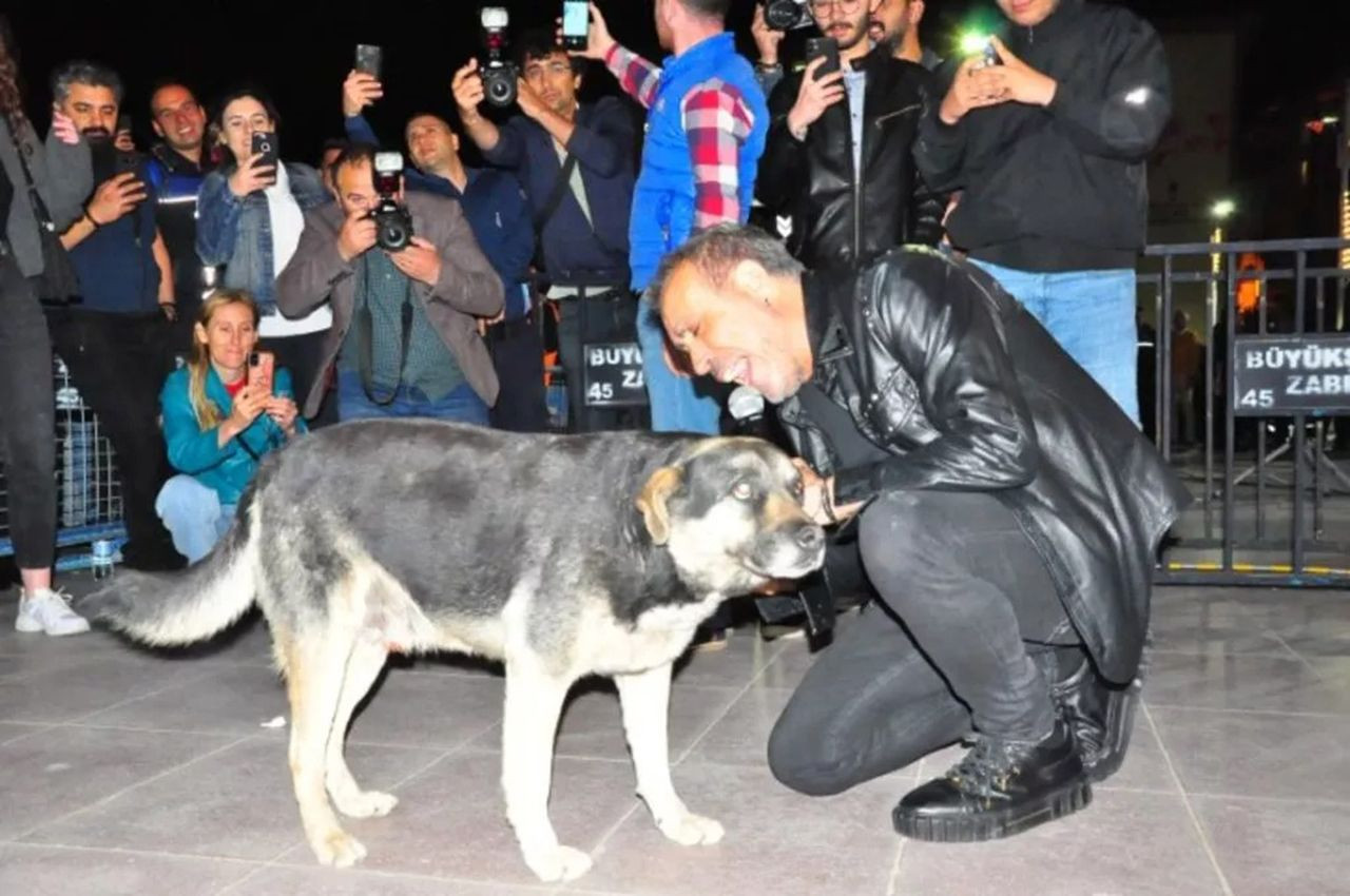 Haluk Levent yere yatıp sokak köpeğine sarıldı, konser alanı yıkıldı - Resim: 3