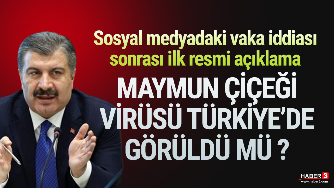 Bakan Koca'dan maymun çiçeği virüsü açıklaması: Türkiye'de görüldü mü ?