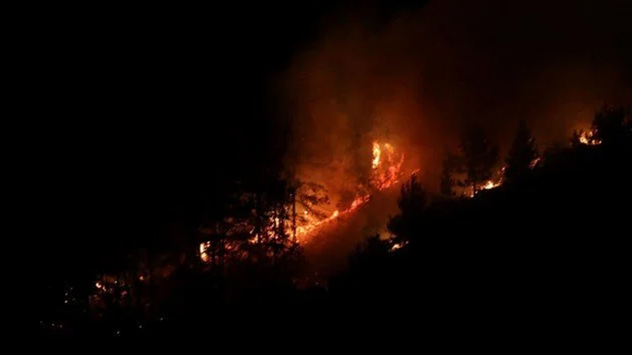 Gece başladı, küle döndü: Alanya’da orman yangını