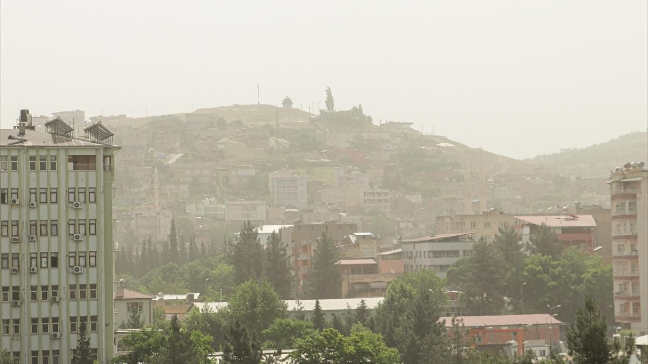 Korkulan oldu! Sarı kabus Türkiye'de - Resim: 4