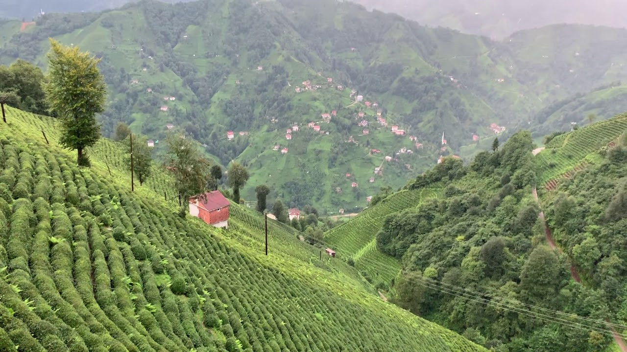 Rize çayı Uzay'a çıkıyor