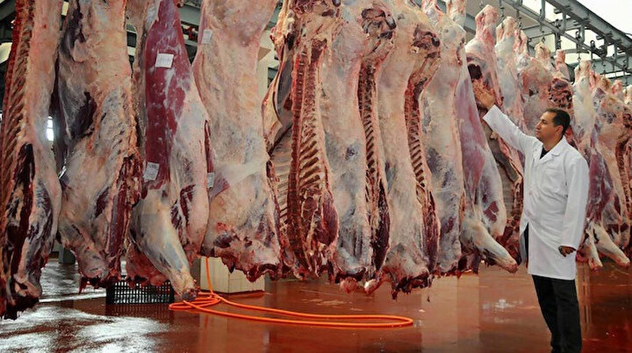 Kurban Bayramı öncesi bulaşıcı hastalık paniği! Ölüme kadar götürüyor - Resim: 1