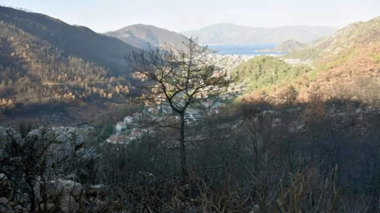 Muğla'da ormanlara giriş yasaklandı