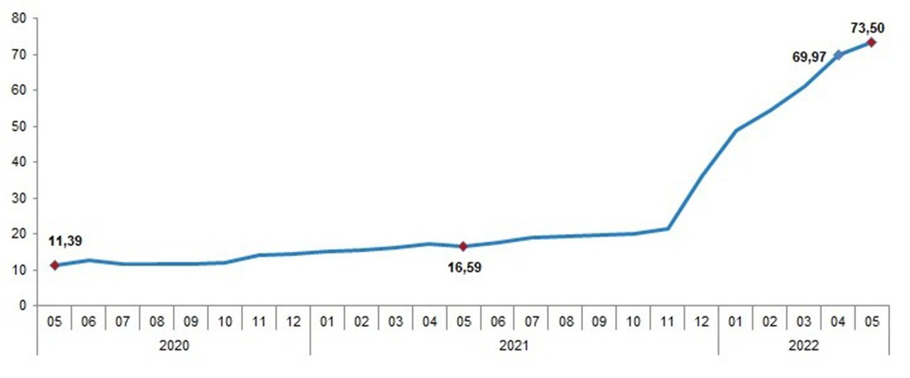 TÜFE yıllık değişim oranları (%), Mayıs 2022