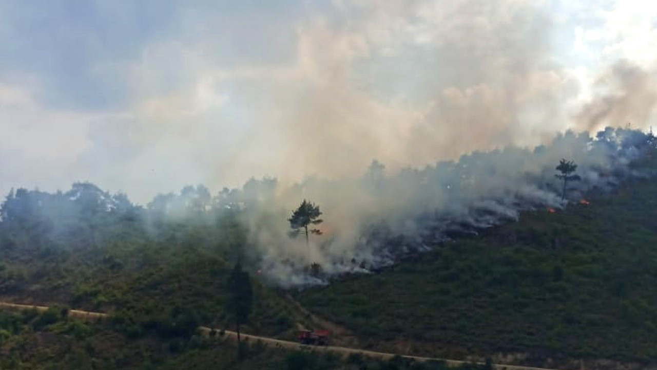 İzmir ve Manisa'da orman yangını