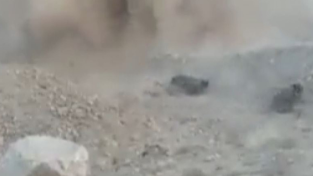 İnanılmaz görüntü! Çocuğun attığı taş mayına denk geldi