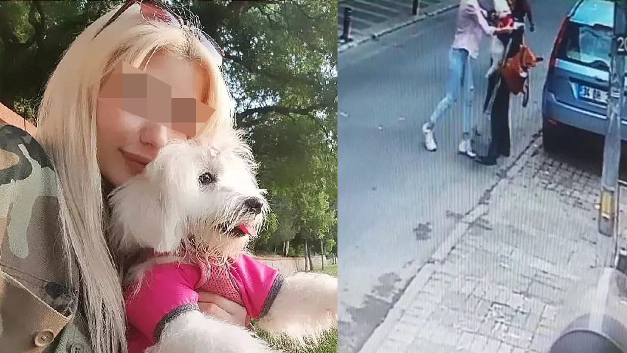 İstanbul'da köpek hırsızı, köpeğin sahibine yakalanınca ortalık karıştı