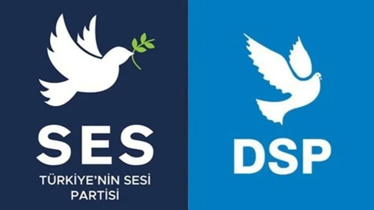 AYM, SES Parti'nin logosu için kararını verdi