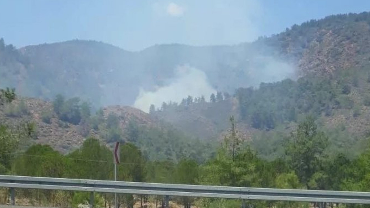Marmaris'in ardından bir orman yangını da Köyceğiz'de