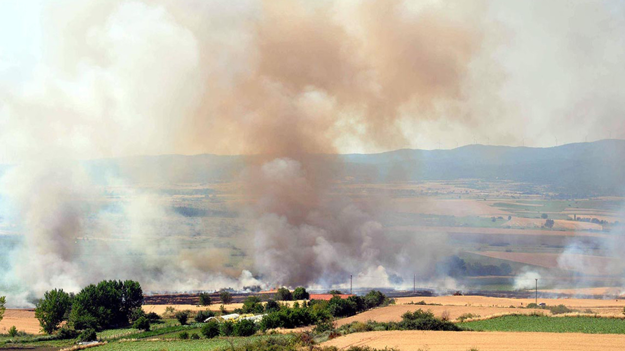 Bir yangın daha: 100 dönüm ekili tarla kül oldu