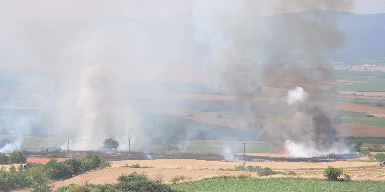 Tekirdağ'da 100 dönüm ekili tarla kül oldu - Resim: 3