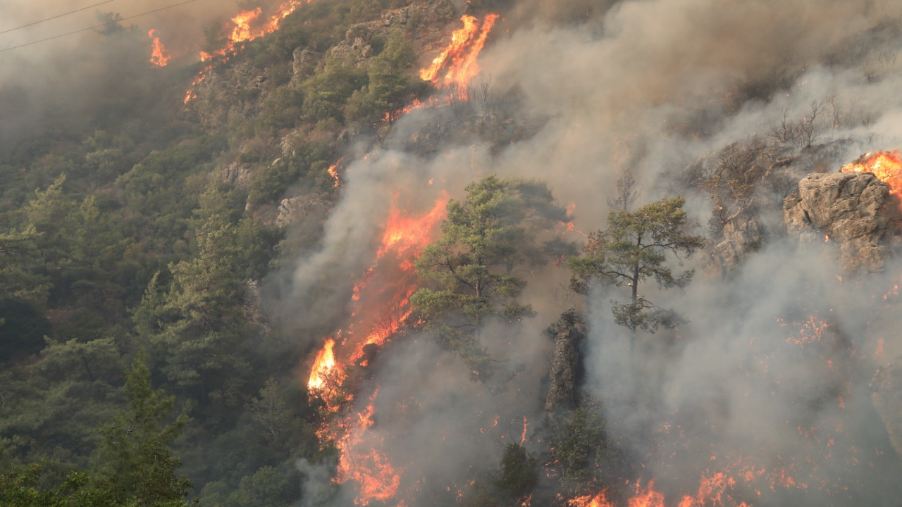 Bodrum Belediyesi'nden orman yangınlarına karşı mücadele seferberliği