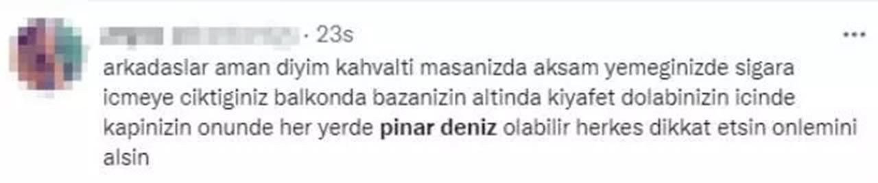 Pınar Deniz sosyal medyada alay konusu oldu - Resim: 4
