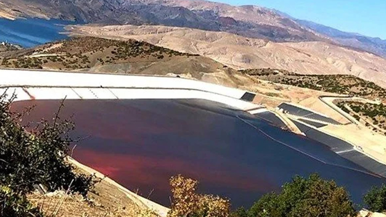 Erzincan'daki doğa katliamında flaş gelişme! Altın madeninin faaliyeti durduruldu