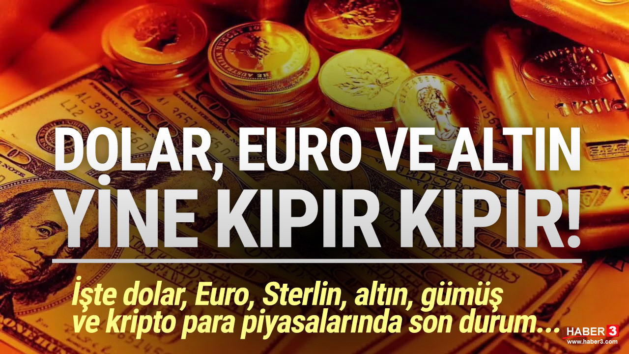 Dolar, Euro ve altın yeniden kıpır kıpır !