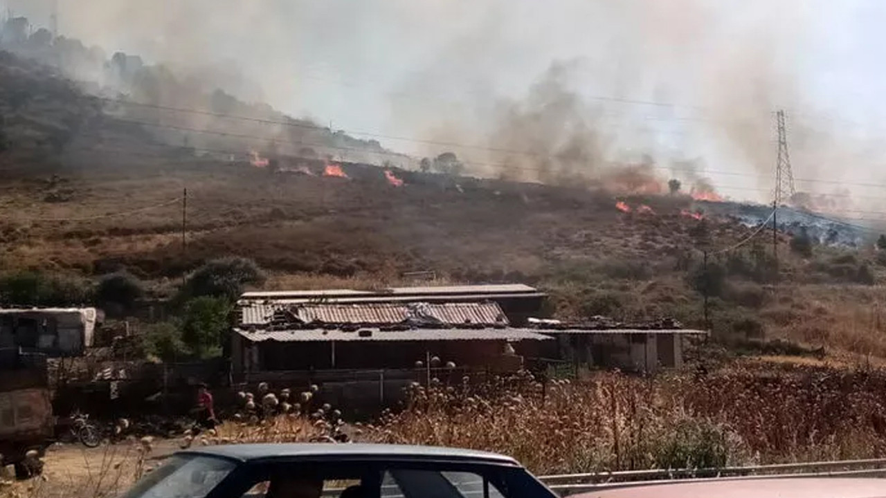İzmir'in Bergama ve Dikili ilçesinde orman yangını