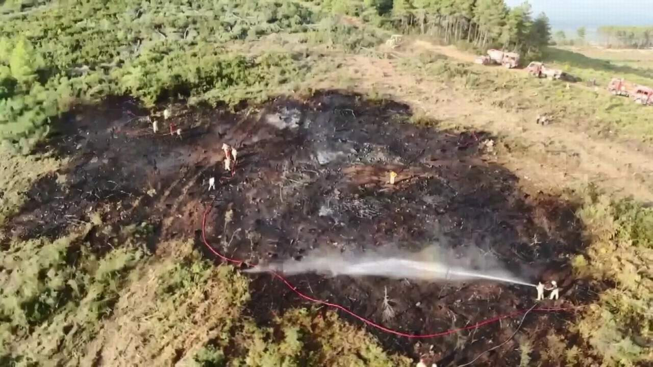 İstanbul'da orman yangını! 40 dönüm arazi kül oldu