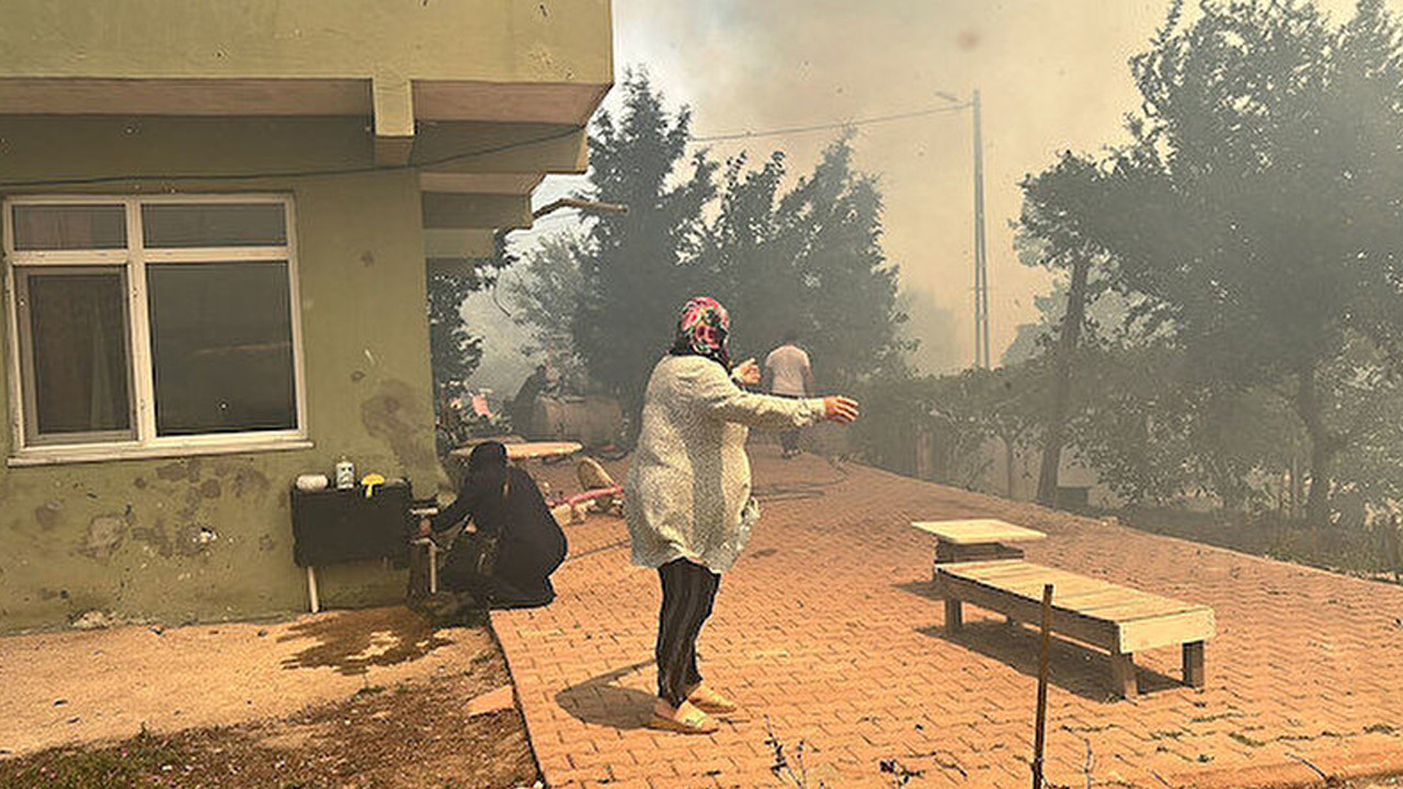 Beykoz'da ormanlık alanda yangın: Çok sayıda itfaiye sevk edildi