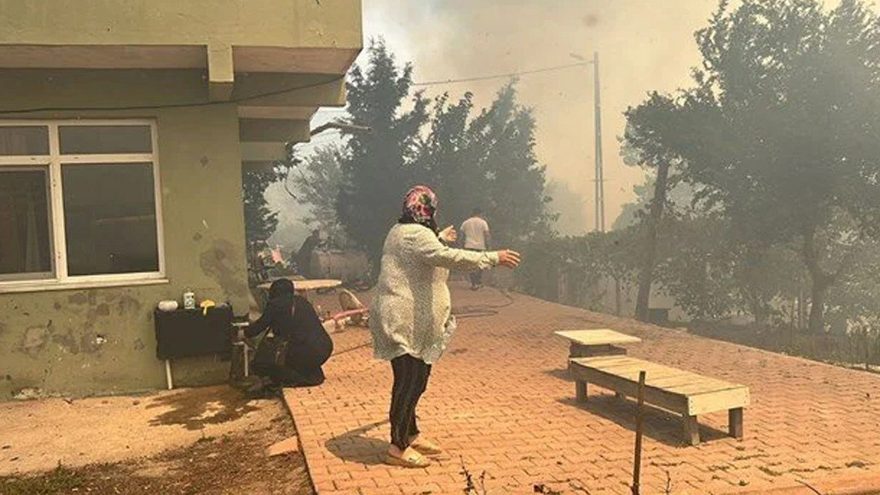 İstanbul'daki orman yangınının nedeni belli oldu
