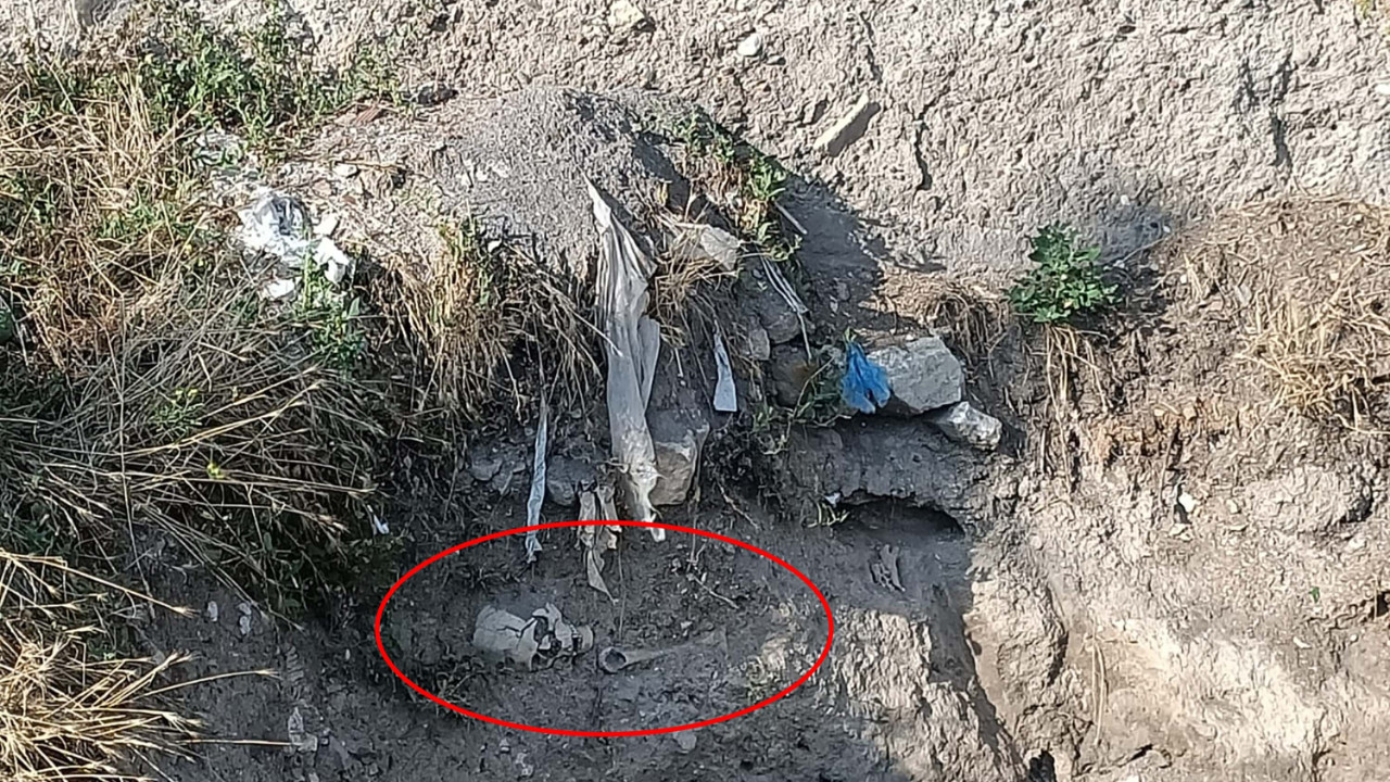 Çankırı'da kafatası ve kemikler bulundu