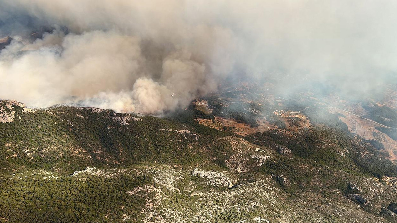Datça ve İzmir'deki orman yangınında büyük ihmal