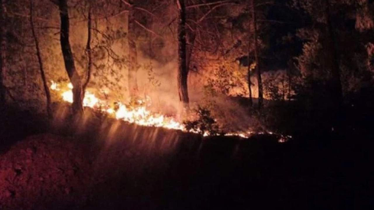6 noktada çıkan orman yangınlarıyla ilgili bir kişi tutuklandı