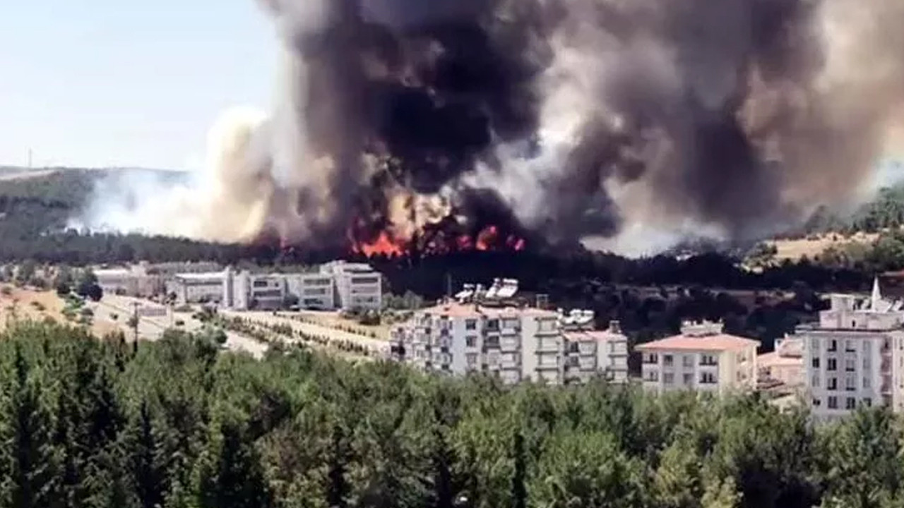 Gaziantep'te hayvanat bahçesi yakınında korkutan yangın