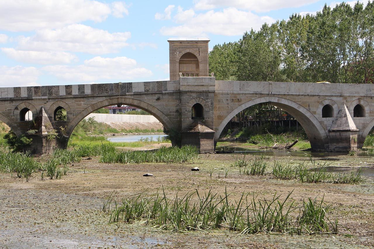 Tarımın can damarı Tunca Nehri'nde korkutan görüntü