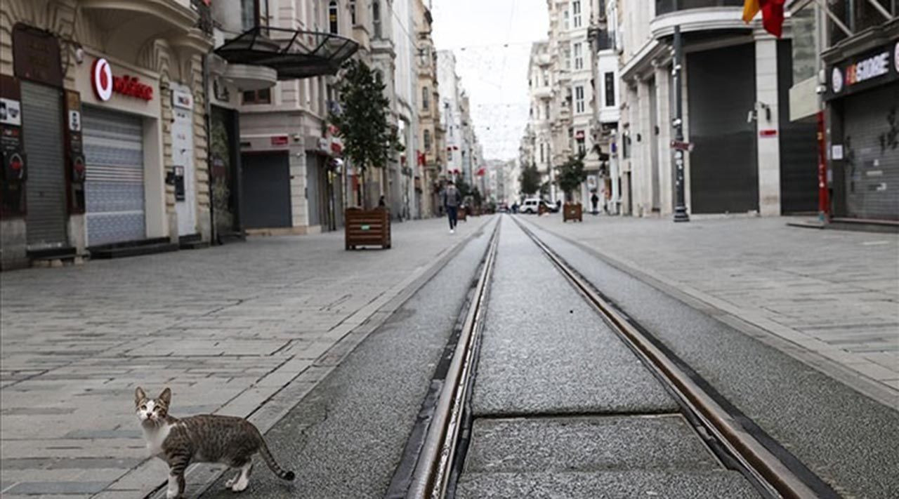 Türkiye'de yeniden kapanma olur mu? Bilim Kurulu üyesi açıkladı - Resim: 4